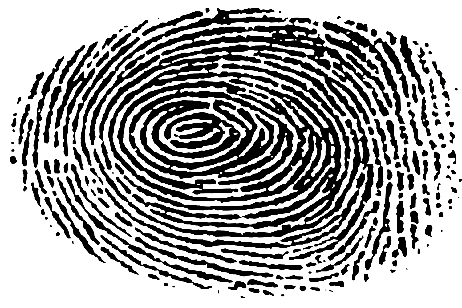 fingerprints