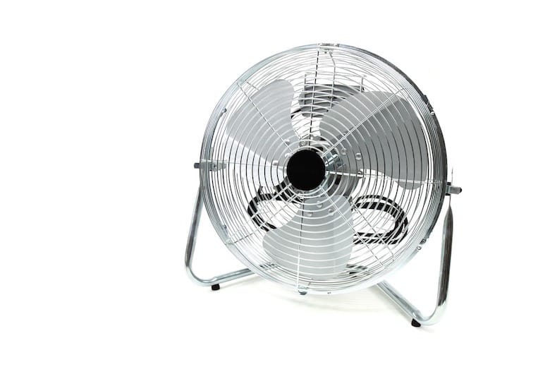 fan