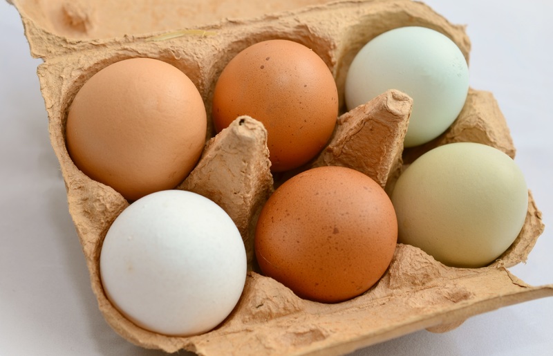 brown eggs