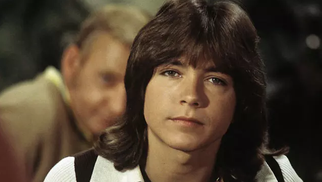 david cassidy