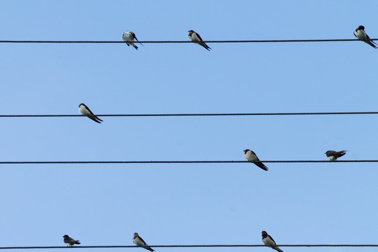 ballen hoogspanningskabels