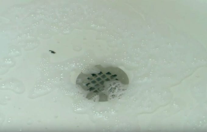 shower drain